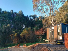 The Whistling Frog by Tiny Away, Neerim
